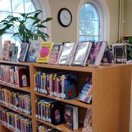 New books on library shelves